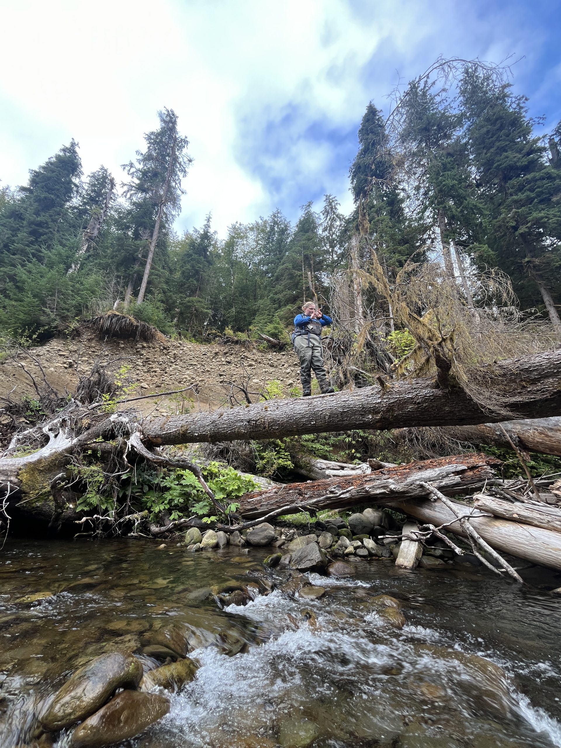 HabitatSurveys